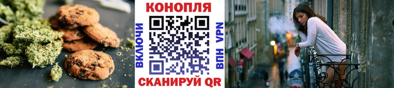 хочу наркоту  Зеленогорск  Еда ТГК конопля 