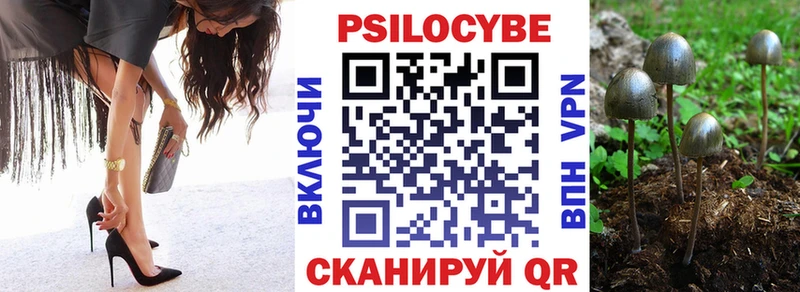 kraken зеркало  Зеленогорск  Псилоцибиновые грибы Magic Shrooms 